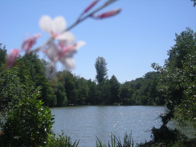 Les lacs de courtes