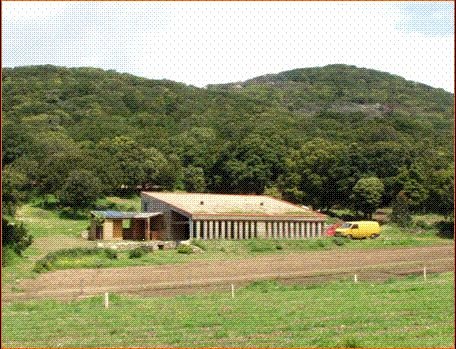 Arcubalenu