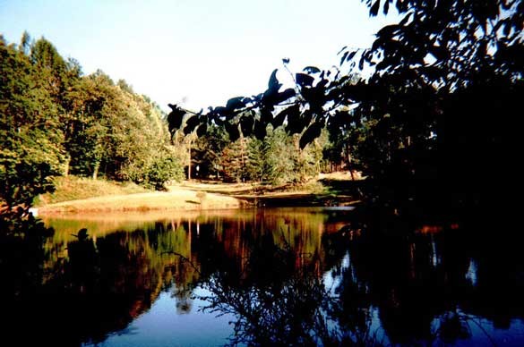 Domaine du grand roc
