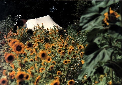 Camping 'L'Avelanède' à Artignosc sur verdon