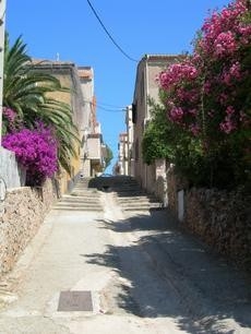 'Alexandra' en Corse du Sud