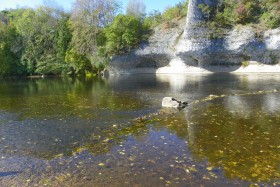 Camping 'Camping Paradis : Le Rocher de la Granelle - Le Bugue en Dordogne' à Le bugue