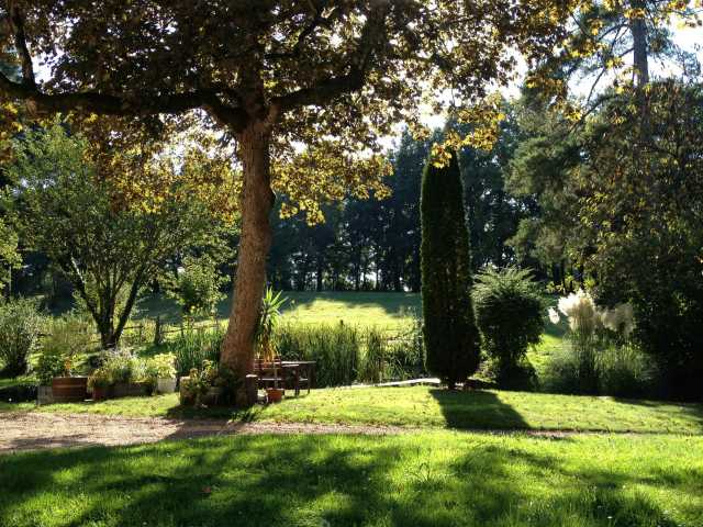 Le jardin