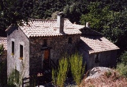 Gîte rural 'Location gite et chambres d'hôtes en cévennes dans le gard ' à Saint-martial