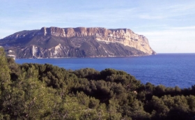Chambre d'hôte 'L'escale ' à Cassis