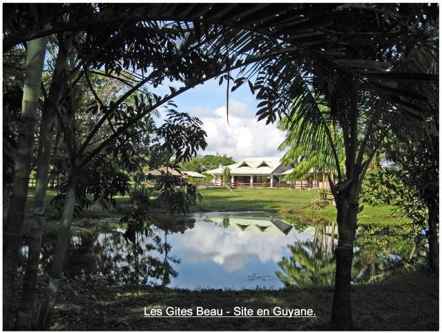 Gîte : Chb - Stud - Appt 'Gites beau-site ' à Macouria