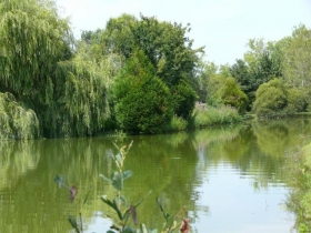 Chambre d'hôte 'Domaine de villecourte' à Coings