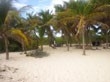 Studio / Appartement 'Caribgites' à Sainte anne