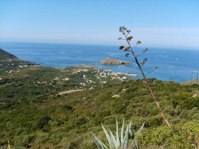 Gîte de séjour 'Vivrosud habitat' à Centuri