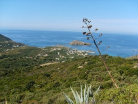 Gîte de séjour 'Vivrosud habitat' à Centuri