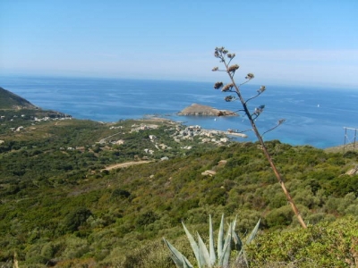 Gîte de séjour 'Vivrosud habitat' en Haute Corse