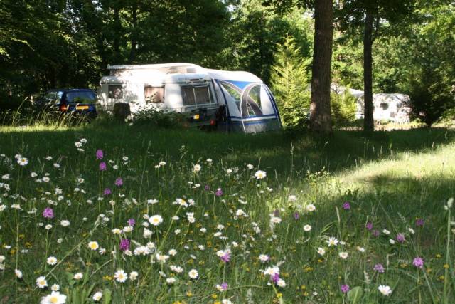 Photo Camping Andryes - bourgogne Au bois joli, camping de charme