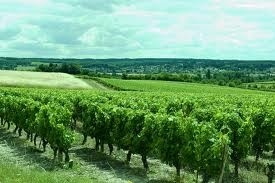 Gîte rural 'Les chaumières du chêne' à Pouillé