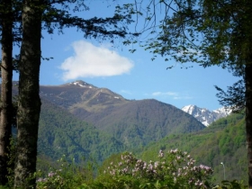 Camping 'Camping Le Haut Salat***' à Seix