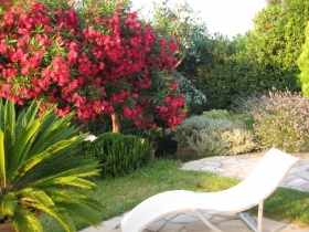 Chambre d'hôte 'Mas samarcande' à Vallauris