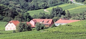 Gîte rural 'Au cep de vigne' à Nothalten