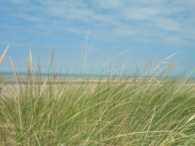 Chambre d'hôte 'Cote mer' à Stella plage