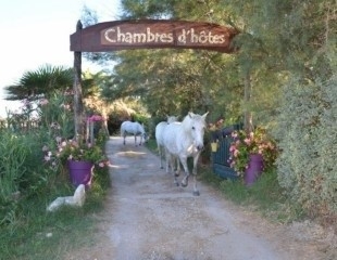 Chambre d'hôte 'Le mazet du maréchal ferrant' en Bouches du Rhone