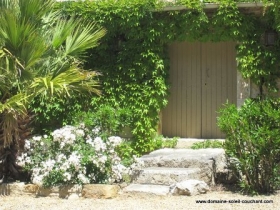 Chambre d'hôte 'Chambres d'hôtes du Domaine du Soleil Couchant' à Saint-andre-de-roauelongue