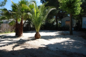 Camping 'Camping orly d azur ' à Six fours les plages
