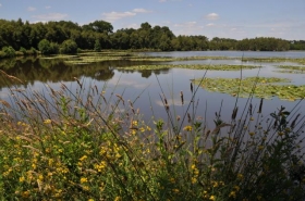 Camping 'Aire naturelle de camping de gruellau' à Treffieux
