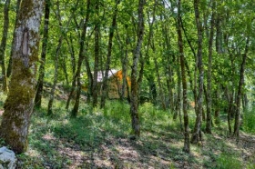 Camping 'Domaine les pastourels' à Veyrines de domme