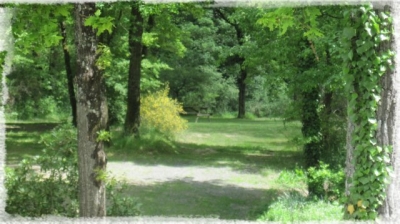 Camping location 'Camping Le bois fleuri' à Saint epain