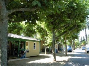 Mobil Home 'Les palmiers locations' en Var