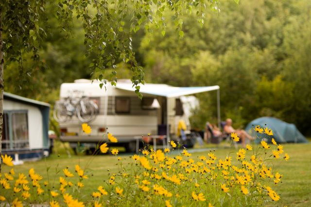 Photo Camping Luzy Centre de vacances naturiste domain... 