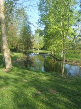 Chambre d'hôte 'Logis de bouillé' à Bouillé-courdault