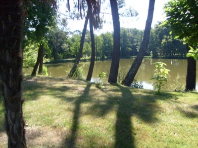 Camping 'Camping l'oasis' à Lussac