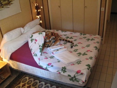 Chambre d'hôte 'Evasion' à Evry