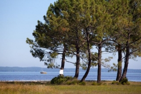 Corttages 'Mayotte vacances' à Biscarrosse