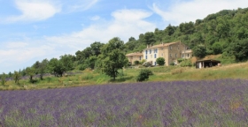 Chambre d'hôte 'Domaine de Bertrandy' à Allemagne en provence