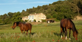 Chambre d'hôte 'Domaine de Bertrandy' à Allemagne en provence