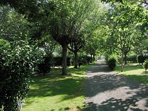 Chalets 'Le val vert' à Vaux sur mer