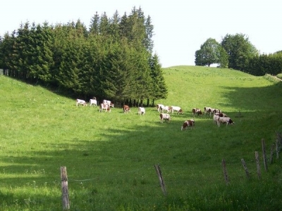 Gîte rural 'La rogerie' en Jura
