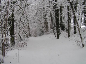 Chambre d'hôte 'Les perrelles' à Bellecombe-en-bauges