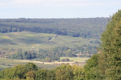 Gîte rural 'Gîte du champagne couvent fils' en Picardie