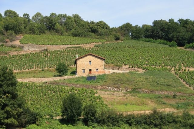 Chambre d'hôte 'La combe chaudaire' à Beaujeu