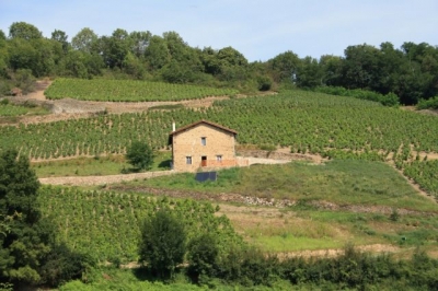 Chambre d'hôte 'La combe chaudaire' à Beaujeu