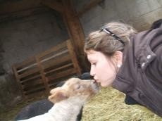 Chambre d'hôte 'Ferme des 3 suissesses' à St paul