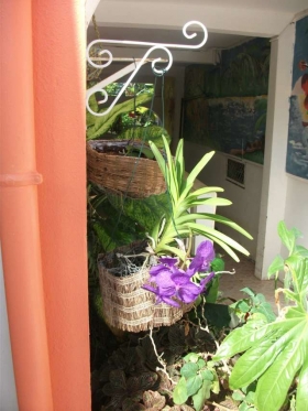 Studio / Appartement 'Residence Madelia' à Port-louis