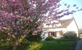 Chambre d'hôte 'Chambre d'hôtes et gîte anne-marie' à Châtillon sur indre