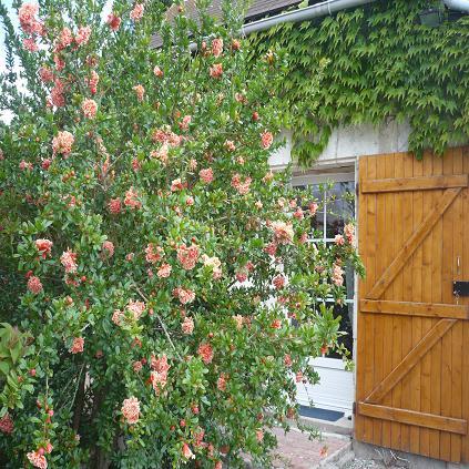 Photo Chambre d'hôte ChÂtillon sur indre Chambre d'hôtes et gîte anne-ma...