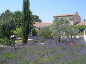 Chambre - kitchenette 'LE CLOS DES LAVANDES- Maison d'hôtes de charme climatisée en PROVENCE' à Lacoste