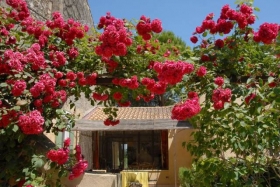 Gîte rural 'Antonelle camargue' à Arles