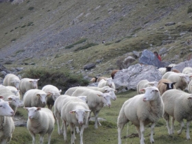 'L'escapade' à Gedre