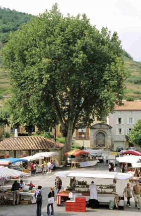 Camping 'Camping de la base nautique' à Saint rome de tarn