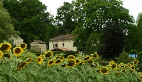 Chambre d'hôte 'Le jardin des etoiles' à Denat
